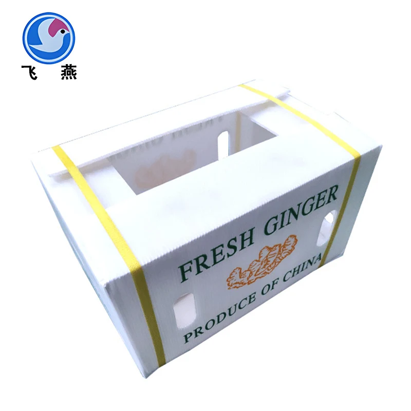 Calcium Plastic Hollow Board Box